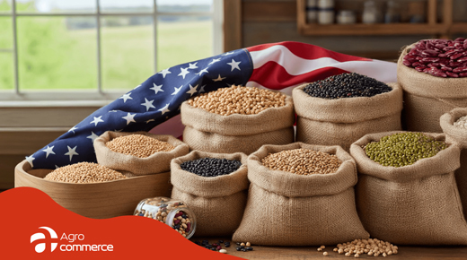 ¡Visita internacional en casa! 😎