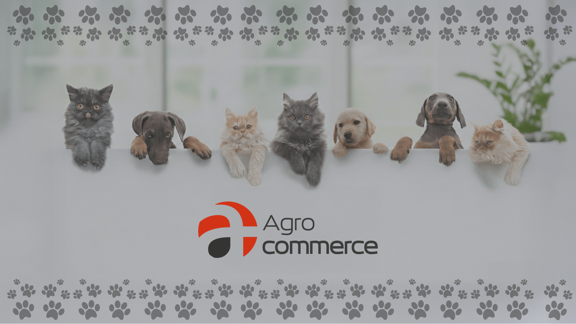 ¡Novedades en nuestro Portafolio!